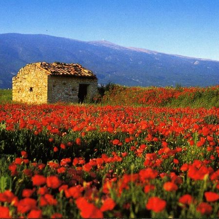 Maison De Village De 98 M2 Typiquement Provencale Pierrevert Экстерьер фото