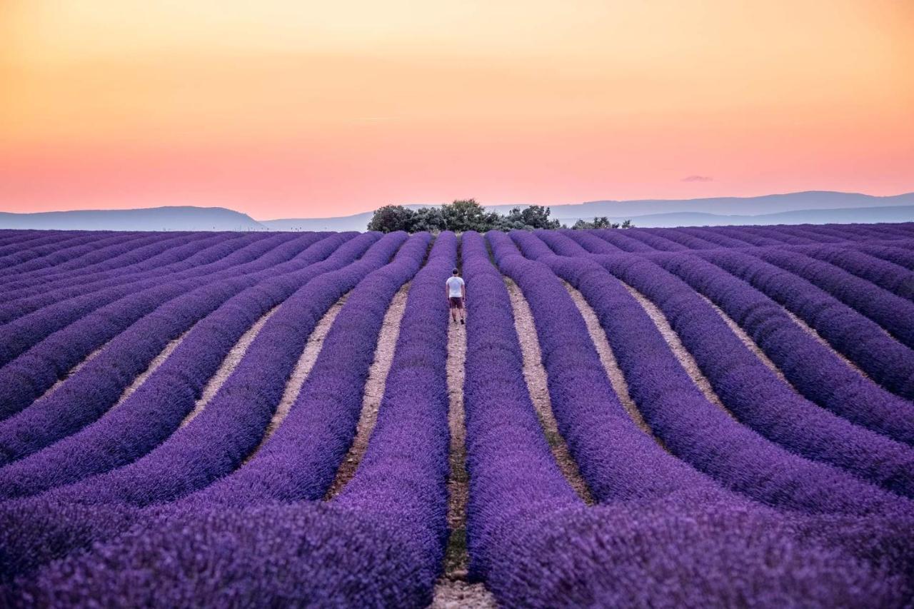 Maison De Village De 98 M2 Typiquement Provencale Pierrevert Экстерьер фото